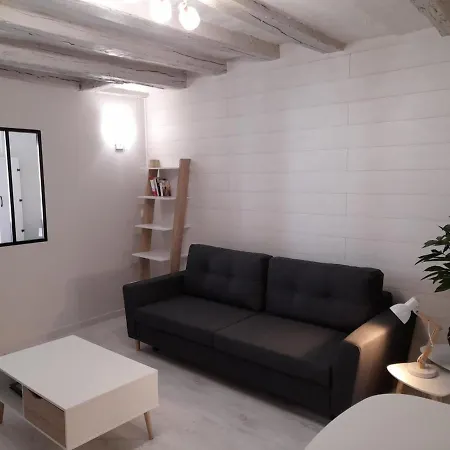 Ferienwohnung Le Cosy D'Amboise Exterior foto